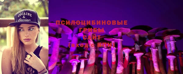 apvp Армянск