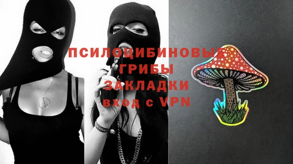 apvp Арсеньев